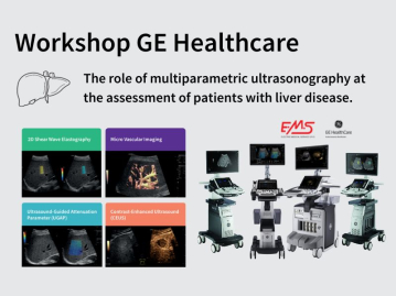 Workshop GE HealthCare: Liver solution