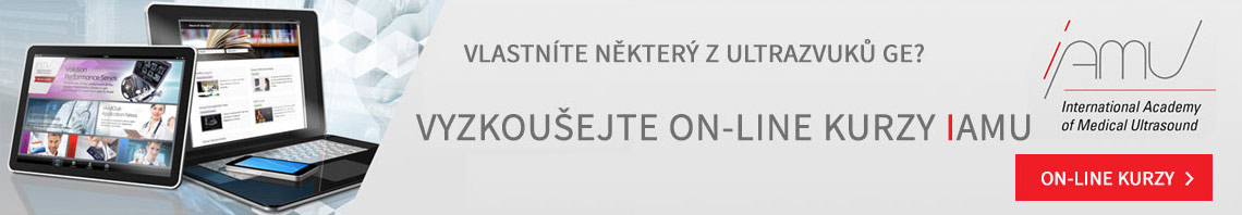 On-line kurzy